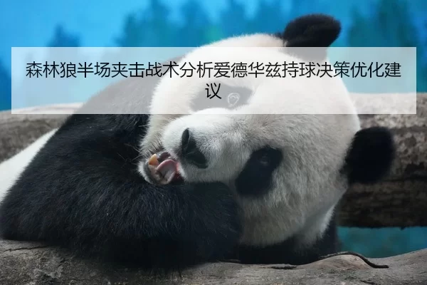 森林狼半场夹击战术分析爱德华兹持球决策优化建议